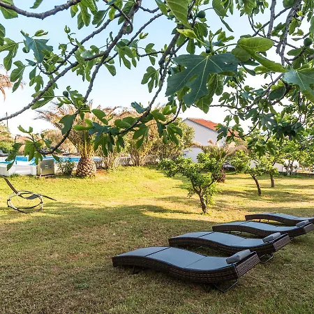 Modern With Pool Tatil Evi